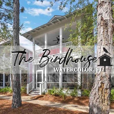 The Birdhouse In Luxury Watercolor Brand New 6 Seat Golf Cart Villa ซานตาโรซาบีช ภายนอก รูปภาพ